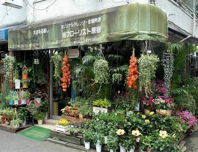 90后美女在閣樓開(kāi)店鋪！房間太破，奇思妙想用各種植物來(lái)掩蓋