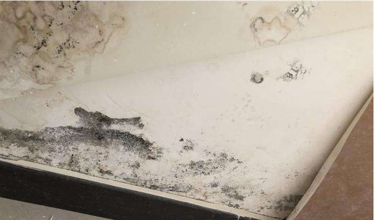 搞定梅雨天墻面受潮發(fā)霉，就選美涂士凈味抗甲醛微晶石藝術(shù)漆