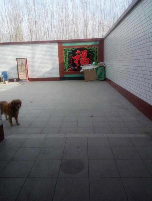 曬曬我的農(nóng)村婚房，占地面積600平，廚房超級大，臥室誰見過？