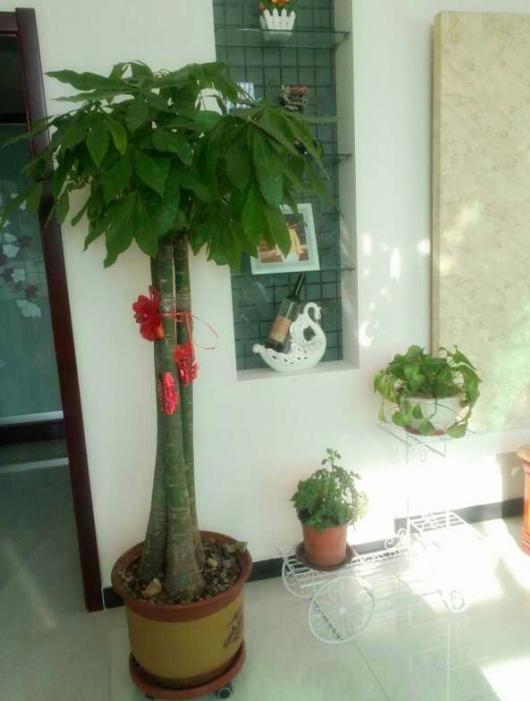 農(nóng)村廚房怎么裝修實用_農(nóng)村廚房裝修效果圖_美式風格廚房裝修效果