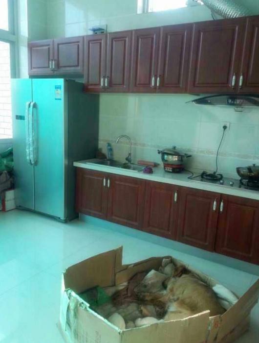 農(nóng)村廚房裝修效果圖_美式風格廚房裝修效果_農(nóng)村廚房怎么裝修實用