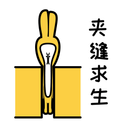 鞋柜設計，看這一篇就夠了