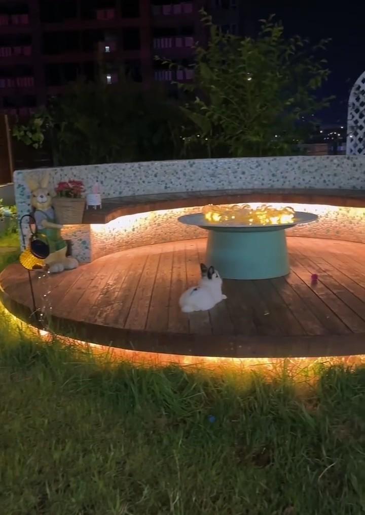 觸手圖樓吧觸手福利圖_1樓花園裝修_一樓花園裝修效果圖