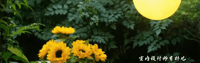 她買下一樓60平方米院子，打造成絕美花園，連陽(yáng)臺(tái)、客廳也不放過(guò)